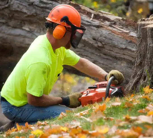 tree services Keene